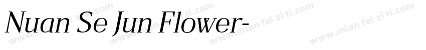 Nuan Se Jun Flower字体转换
